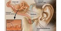 Centrul Medical Prain